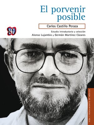 cover image of El porvenir posible